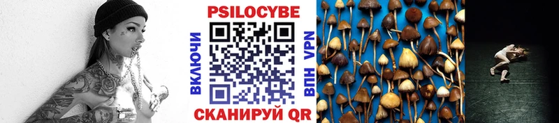 Галлюциногенные грибы Cubensis  где найти   Пестово 